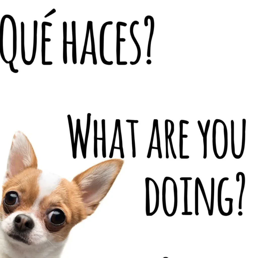 Qué haces