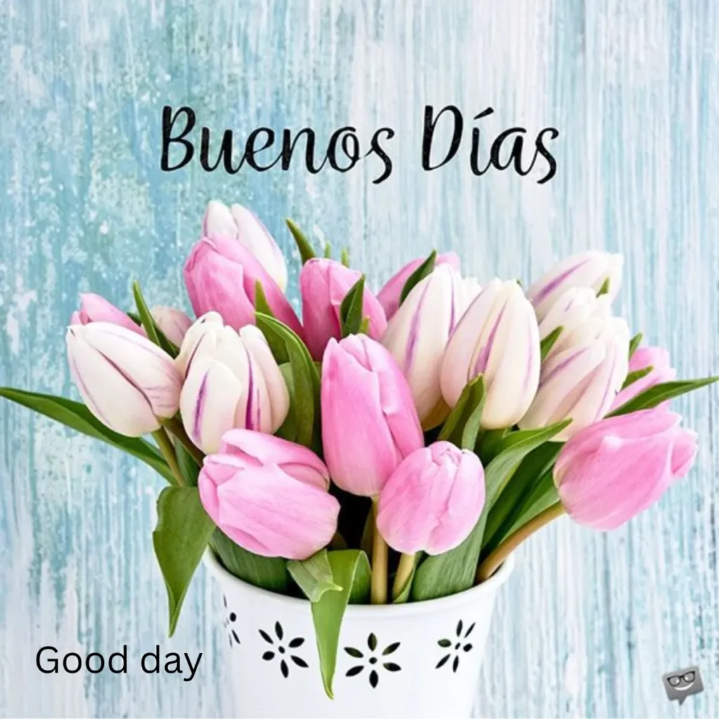 Buen día