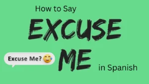 Excuse Me in Spanish