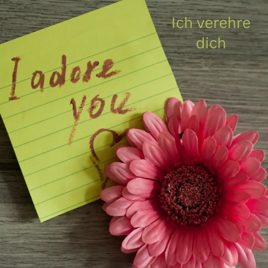Ich verehre dich