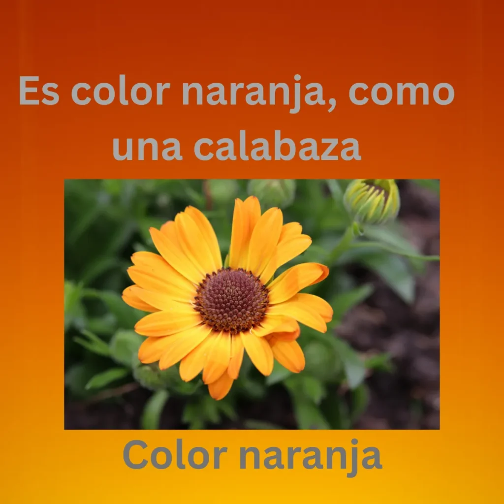 Color Naranja
