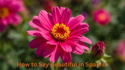 How to Say Beautiful in Spanish