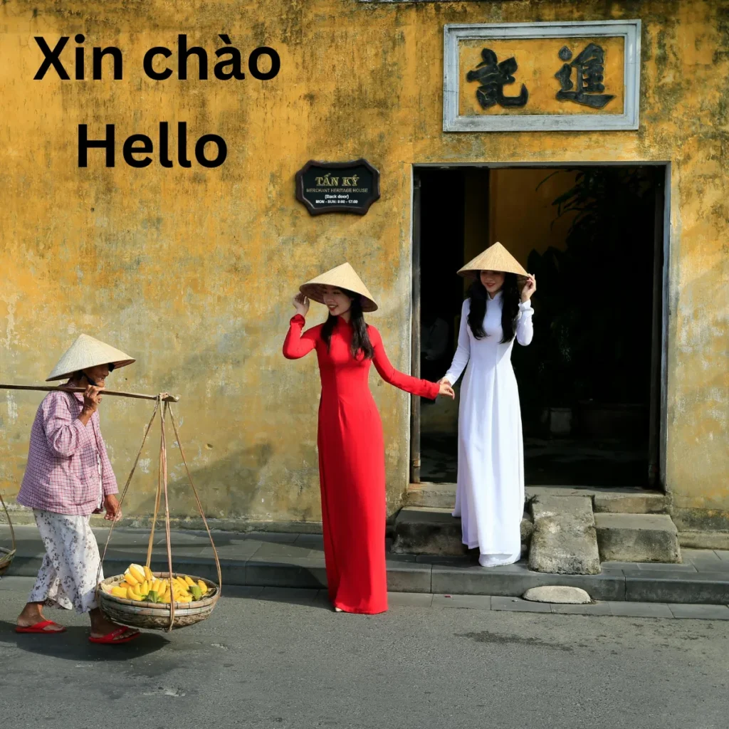 Xin chào